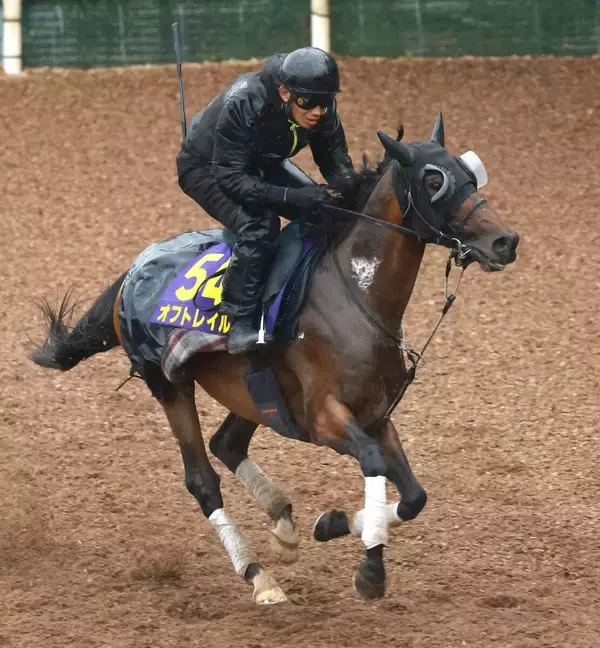 【安田記念】オフトレイルは馬体も充実期に突入　吉村調教師「５歳なんで勝負の時ですね」