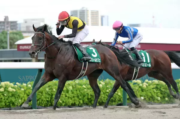 【エルムＳ】４番人気のペリエールは２着で史上２頭目の連覇逃す　佐々木大輔騎手「すごくうまくいったんですけどね」