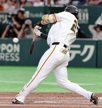 【巨人】石塚裕惺が出場５試合連続ヒット！８月の月間打率３割４分４厘と絶好調
