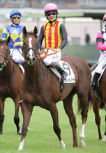 【２０日の注目・阪神３Ｒ】良血馬対決に惜しくも敗れた桜花賞馬の半妹が中１週で登場　高野調教師「使って良くなっています」