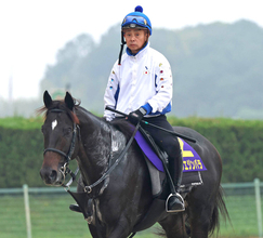 【菊花賞】堅実なアスクエジンバラがここでも上位争いへ　陣営「チャンスはあると思います」　