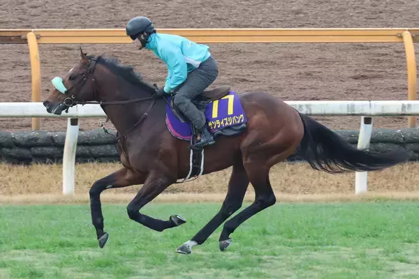 【注目馬動向】サンライズジパングは鮫島克駿騎手で有馬記念へ　２４年みやこＳを勝って以来の２度目のコンビ結成