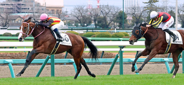 【中山５Ｒ・２歳新馬】伯父にＧ１馬を持つロデオドライブがデビューＶ　北村宏司騎手「まだ若さがあるところも」