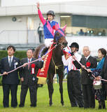 「【コラム追悼・メイショウマンボ】人生で一番の「マンボ！」の声が出たオークス　「無印」馬を熱烈応援した訳」の画像1