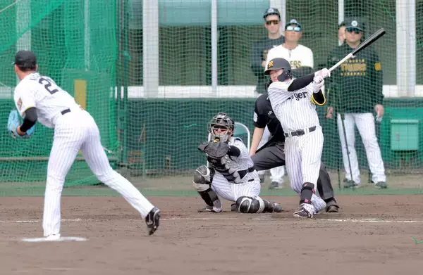 【阪神】現役ドラフトで加入の浜田太貴がシート打撃で２０２６年チーム１号…今朝丸裕喜から右翼芝生席