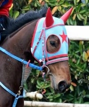 ２４年関東オークスＶアンデスビエントが競走馬登録抹消　レイクヴィラファームで繁殖入り　引退の西園正調教師の管理馬