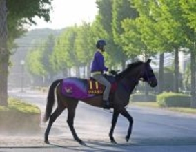 【ヴィクトリアＭ】エフフォーリアの全妹ジョスランは８着　Ｇ１・２度目の挑戦で結果残せず