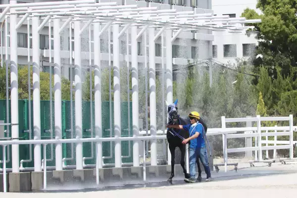 暑い暑い…最高気温が３０度超え　１９日から名古屋競馬場にシャワー設置　暑熱対策「人馬ともに体調に気を付けながら…」
