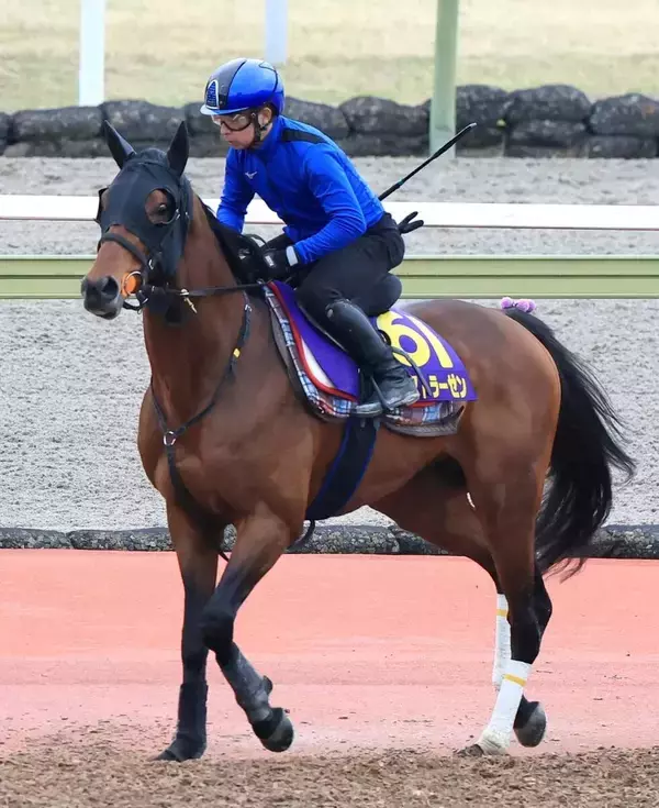 【函館記念・特選有力馬チェック】ファウストラーゼンは買うべき？