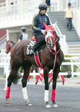 【２３日の注目・札幌１２Ｒ】テルヒコウは話題の美人ジョッキーと新コンビ　「とまどい」感じることなく３勝目狙う