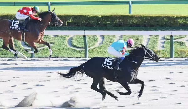 直線だけで１４頭ごぼう抜き！「ブロードアピールの再来」「とんでもない」芝並み上がりマークのヤマニンアストロンにネット仰天