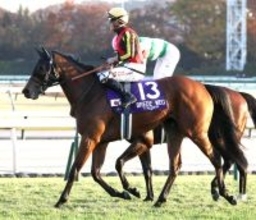 「世界最強馬を産んで」「ずっと忘れない」惜別＆ねぎらいの声続出　競走馬登録抹消＆繁殖入りブレイディヴェーグに　