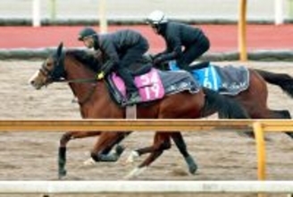 【フェアリーＳ】重賞実績あるブラックチャリスは軽快な伸び　武幸調教師「以前よりリラックス。いい傾向なのかな」