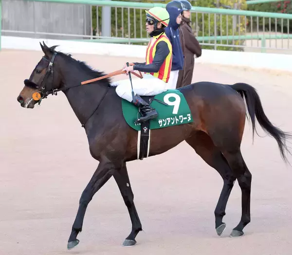 【フェアリーＳ】戸崎圭太騎手「広いコースの方が良さそう」　３番人気のサンアントワーヌは５着