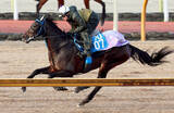「【日経新春杯】サブマリーナは巻き返しへ万全の態勢　庄野調教師「きれいなストライドになってきた」」の画像1