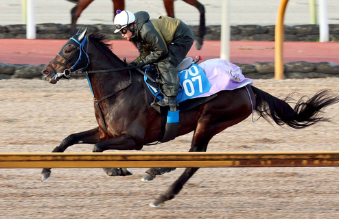 【日経新春杯】サブマリーナは巻き返しへ万全の態勢　庄野調教師「きれいなストライドになってきた」