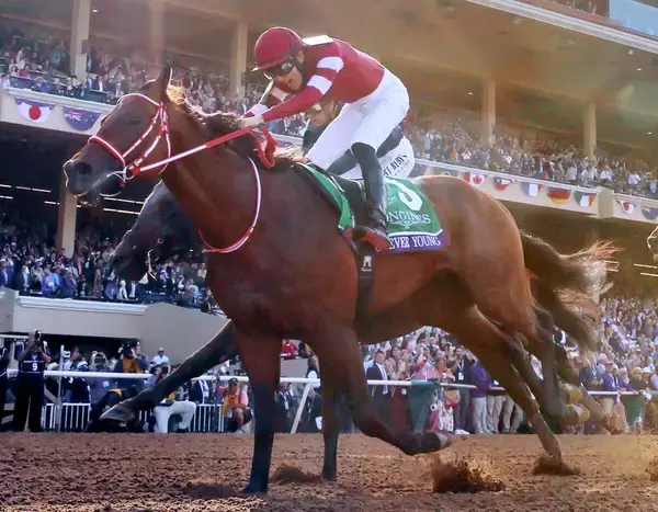 フォーエバーヤングと坂井瑠星騎手に「ＮｕｍｂｅｒＭＶＰ賞」…過去の受賞者に大谷翔平、長嶋茂雄氏、イチロー氏、羽生結弦氏