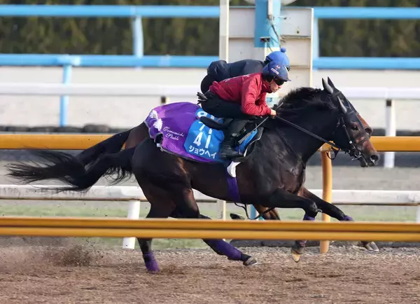 【アメリカＪＣＣ】日本ダービー３着のショウヘイが巻き返しを狙う　友道調教師「上がってくると思います」