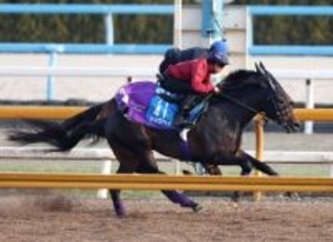 【アメリカＪＣＣ】日本ダービー３着のショウヘイが巻き返しを狙う　友道調教師「上がってくると思います」