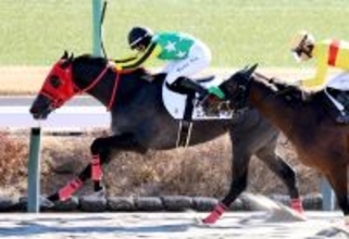 【中山２Ｒ・３歳未勝利】さすがキング姐さん！　スノースコールを鼻差で踏ん張らせてＶ　「馬がファイト」