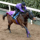 「【シルクロードＳ】友道厩舎が未勝利の６ハロン重賞Ｖへロードフォアエースが力強い登坂「しまいの感じはよかった」」の画像1