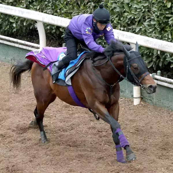 【シルクロードＳ】友道厩舎が未勝利の６ハロン重賞Ｖへロードフォアエースが力強い登坂「しまいの感じはよかった」