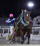 「今年度で引退、サクラヒメが連覇達成！今井千尋騎手は重賞初勝利「本当に強い馬です」…ばんえい競馬、ヒロインズＣ」の画像1