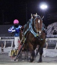 今年度で引退、サクラヒメが連覇達成！今井千尋騎手は重賞初勝利「本当に強い馬です」…ばんえい競馬、ヒロインズＣ