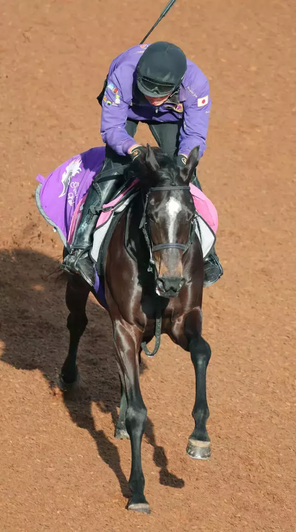 【エルフィンＳ】良血馬アドマイヤシュラが無傷２連勝を狙う　友道調教師「勝って、桜花賞へ行ければ」