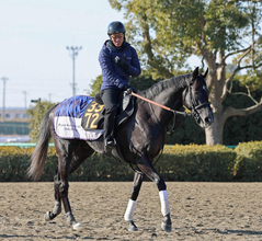 きさらぎ賞のゾロアストロなど１０日の京都競馬に出走予定の関東馬は１８頭が京都に滞在中　運動などで調整