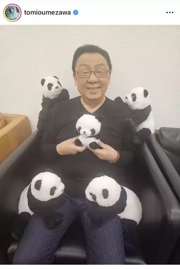 「ぬいぐるみがいっぱい！」梅沢富美男、“パンダに包まれた”癒されショットに「富美男さん可愛い」とフォロワーほっこり