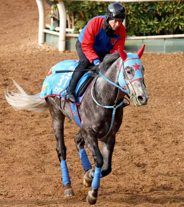 ビッグシーザーは杉山晴厩舎、フィオライアは新規開業の柴田厩舎へ転厩　西園正調教師が定年引退のため