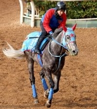 ビッグシーザーは杉山晴厩舎、フィオライアは新規開業の柴田厩舎へ転厩　西園正調教師が定年引退のため