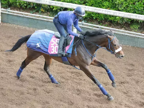 日曜東京競馬場の注目激走馬…東京１１Ｒフローラステークス・Ｇ２