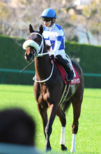 【関東オークス】佐賀から挑戦のサキドリトッケンは最下位１４着　吉原寛人騎手「気持ちも入らず進んでいかなくなった」