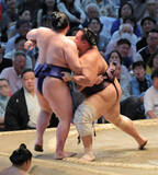 「朝乃山、７連勝で勝ち越し　トップと１差も「追う側。先のことは気にせず一日一番」」の画像1