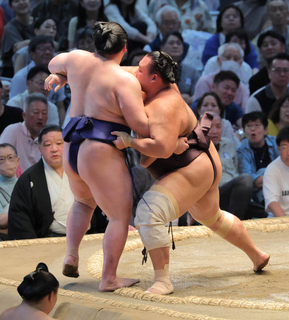 朝乃山、７連勝で勝ち越し　トップと１差も「追う側。先のことは気にせず一日一番」