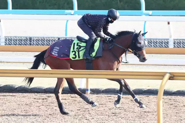 【２５日の注目・札幌４Ｒ】兄は重賞馬　弟はセレクトセールで２・５億円　良血フレッチャアズーラもう負けられない
