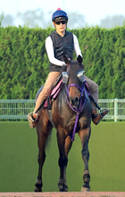 【ＣＢＣ賞】３歳牝馬が軽ハンデを味方に激走へ　サンアントワーヌに鹿戸調教師は「斤量は軽い。そのあたりで何とか」