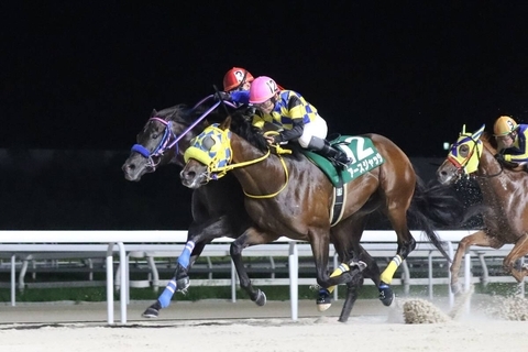 【名古屋・秋の鞍】単勝１・３倍のゴッドバロックが大接戦しのいで重賞５勝目　２日連続重賞Ｖの吉原寛人騎手「さすがの脚でした」