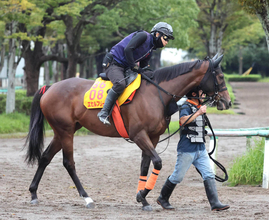 【注目馬動向】オールカマー９着のエセルフリーダは予定通りエリザベス女王杯へ