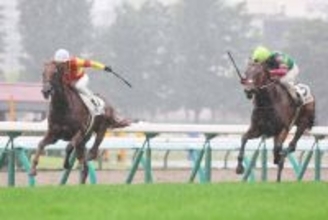 【私の推し馬】矢作調教師の勝負師としての一面に触れた夏の出来事　コントレイル産駒のジーティーメティオを先物買い