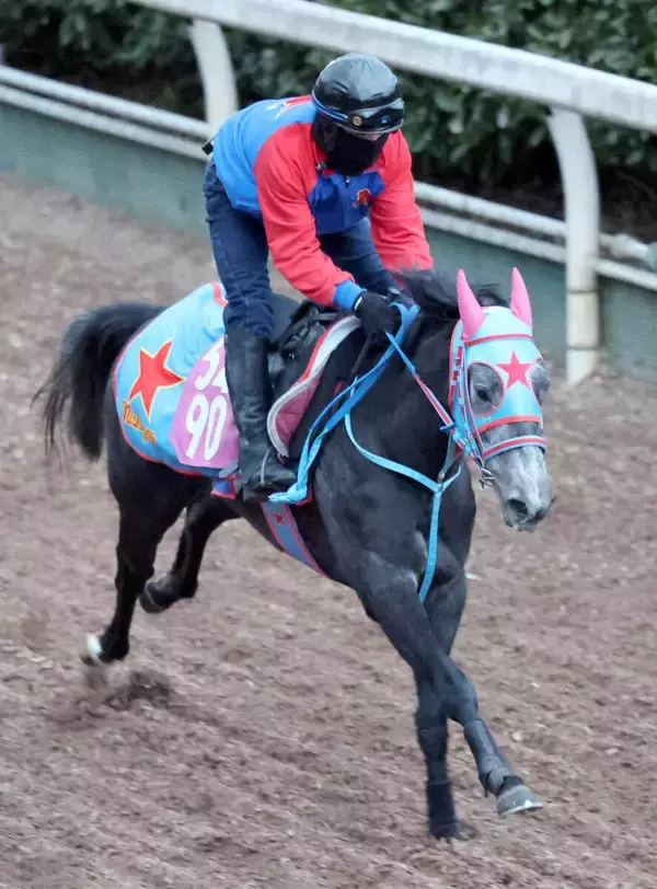 【紅梅Ｓ】マーブルパレスは坂路で鋭い伸び　西園正調教師「ここで賞金を加算したいね」