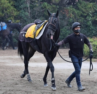 土曜小倉競馬場の注目激走馬…小倉１１Ｒ小倉牝馬ステークス・Ｇ３