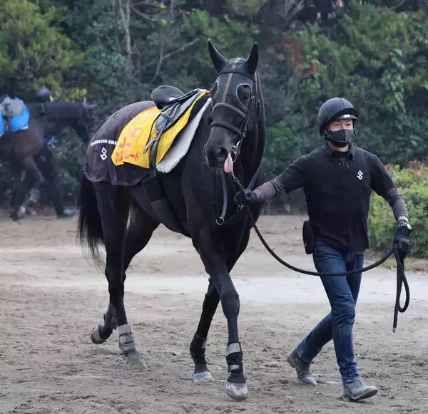 土曜小倉競馬場の注目激走馬…小倉１１Ｒ小倉牝馬ステークス・Ｇ３