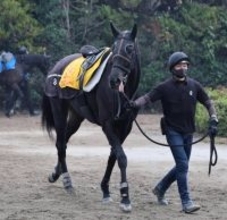 土曜小倉競馬場の注目激走馬…小倉１１Ｒ小倉牝馬ステークス・Ｇ３