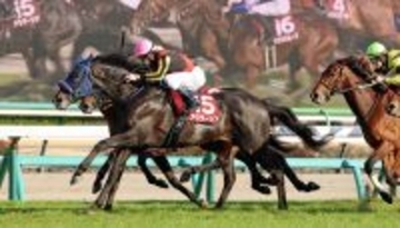 【スプリングＳ】良血アウダーシアがレースレコードで重賞初制覇！クラシックの主役に名乗り　津村明秀騎手「もっと良くなる」