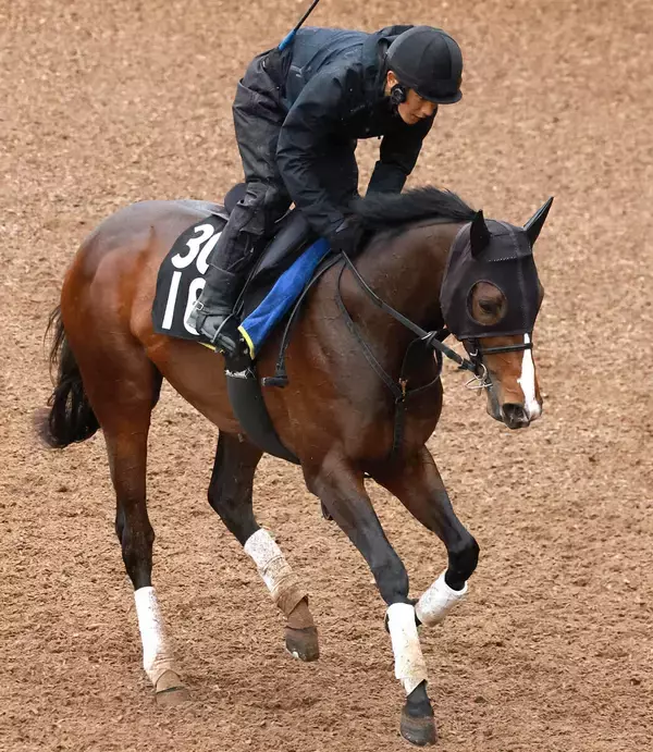 【注目馬動向】デビューから無傷２連勝でチャーチルダウンズＣを勝利　アスクイキゴミはＮＨＫマイルＣへ　