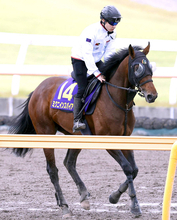 【Ｇ１トク捜リレー】異例の木曜栗東入り　美浦・浅子記者注目のミクニインスパイアが４番枠から驚かせる　宝塚記念