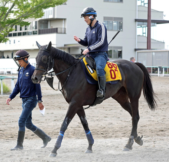 【府中牝馬Ｓ】「ヒヤヒヤする展開」と陣営　前走はゴール直前まで追えずも鮮やかに差し切ったエストゥペンダ